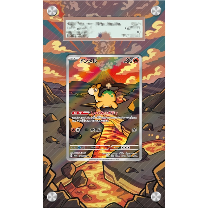 Anime Merchandise From Japan - Kunstvoller Acryl-Schutzkasten für Pokémon Numel Karten,