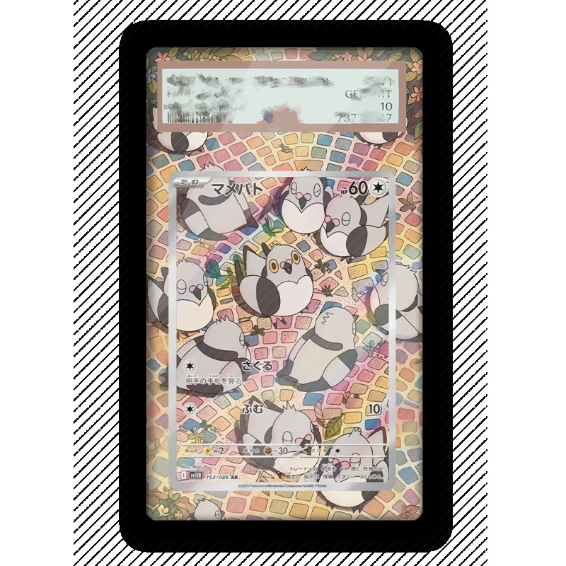 Kunstvoller Acryl-Schutzkasten – Anime Merchandise From Japan Bewertung und Preis