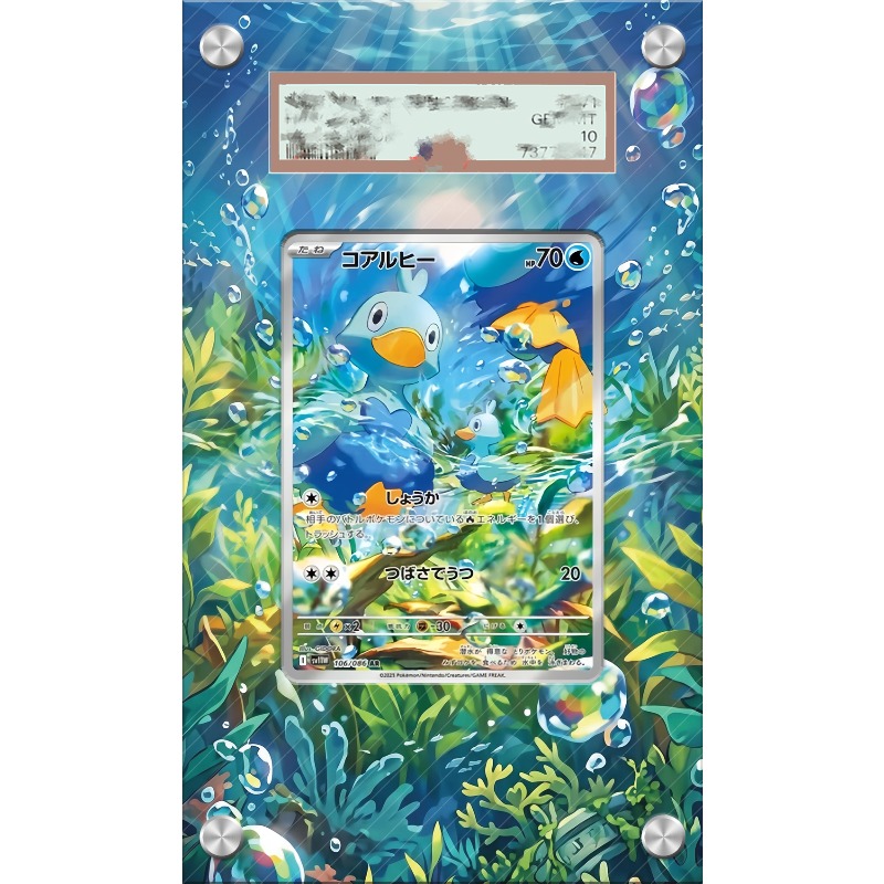 Kunstvoller Acryl-Schutzkasten – Anime Merchandise From Japan Bewertung und Preis