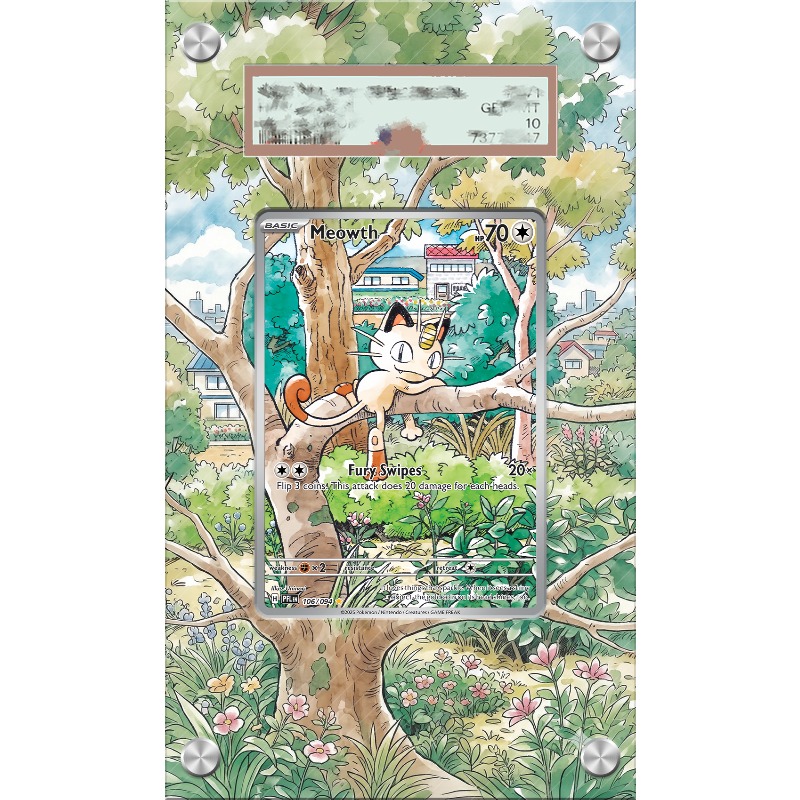 Kunstvoller Acryl-Schutzbehält – Anime Merchandise From Japan Bewertung und Preis