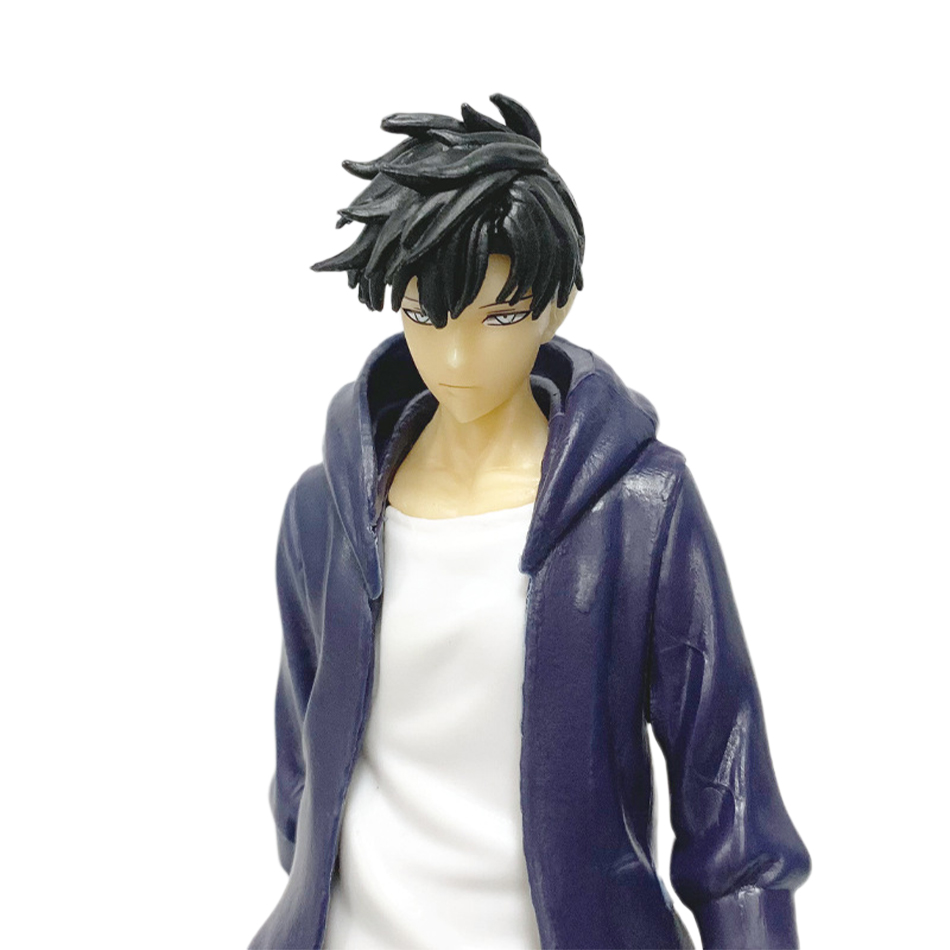Auf Lager Solo Leveling (Anime – Anime Merchandise From Japan Bewertung und Preis